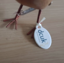 Load image into Gallery viewer, DCUK Garden Bird Red Tartan Hat and Scarf Named Hannah Gift Ornament 12cm Tall