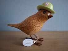 Load image into Gallery viewer, DCUK Wooden Garden Bird In Green Hat Named MIMI