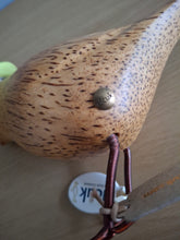 Load image into Gallery viewer, DCUK Wooden Garden Bird In Green Hat Named MIMI