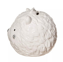 Load image into Gallery viewer, Sass & Belle Bear Adventure Coin Piggy Bank Money Box