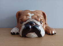 Load image into Gallery viewer, BULL DOG PLANTER PLANT POT by Heaven Sends Novelty Ceramic Gift Home Decor New Range