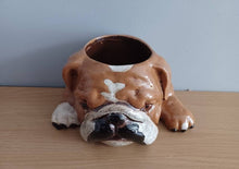 Load image into Gallery viewer, BULL DOG PLANTER PLANT POT by Heaven Sends Novelty Ceramic Gift Home Decor New Range