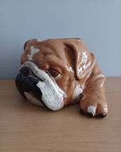 Load image into Gallery viewer, BULL DOG PLANTER PLANT POT by Heaven Sends Novelty Ceramic Gift Home Decor New Range
