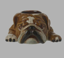 Load image into Gallery viewer, BULL DOG PLANTER PLANT POT by Heaven Sends Novelty Ceramic Gift Home Decor New Range