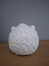 Load image into Gallery viewer, Sass & Belle Bear Adventure Coin Piggy Bank Money Box