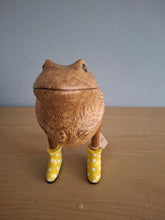 Load image into Gallery viewer, DCUK Jolly Frog Yellow Spotty Boots