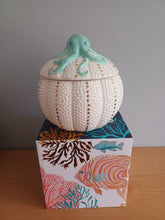 Load image into Gallery viewer, House of Disaster Novelty Coral Octopus Pot Porcelain Gift 12cm NEW