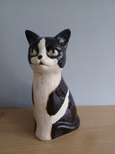 Load image into Gallery viewer, Black and White Cat Kitten Vase Ceramic Top Cat Vase by Village Pottery 20cm Tall NEW