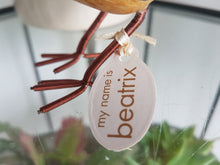 Load image into Gallery viewer, DCUK Wooden Garden Bird With Bird House Gift Box Bonnie Birds Lilac Floral Bonnet Named BEATRIX Hand Carved Hand Painted GIFT Ornament 12cm Tall