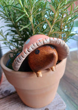 Load image into Gallery viewer, DCUK Toadstool Hedgy Wooden Hedgehog Peach Spotty Toadstool Hat 9cm Gift New