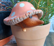 Load image into Gallery viewer, DCUK Toadstool Hedgy Wooden Hedgehog Peach Spotty Toadstool Hat 9cm Gift New
