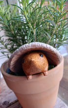 Load image into Gallery viewer, DCUK Toadstool Hedgy Wooden Hedgehog Lilac Spotty Toadstool Hat