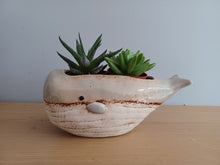 Load image into Gallery viewer, Quay Traders WHALE Planter Plant Pot Gift
