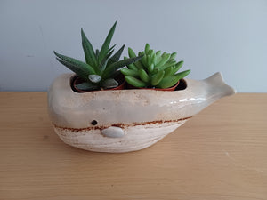 Quay Traders WHALE Planter Plant Pot Gift