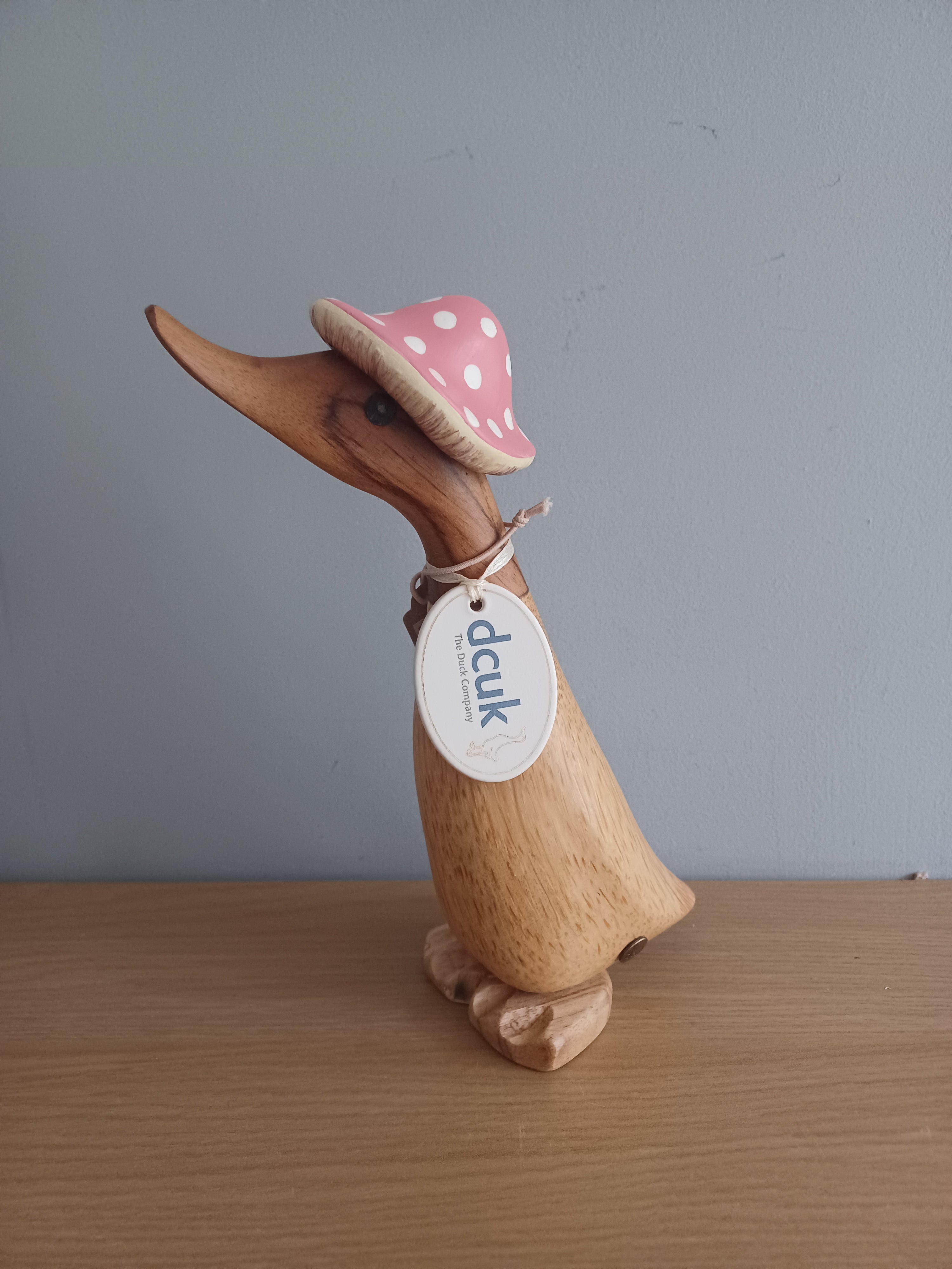 Wooden ducks with on sale wellies and hat