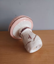 Load image into Gallery viewer, House of Disaster PINK FORAGE MUSHROOM VASE
