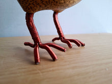 Load image into Gallery viewer, DCUK Natural Wooden DODO BIRD Named PETER
