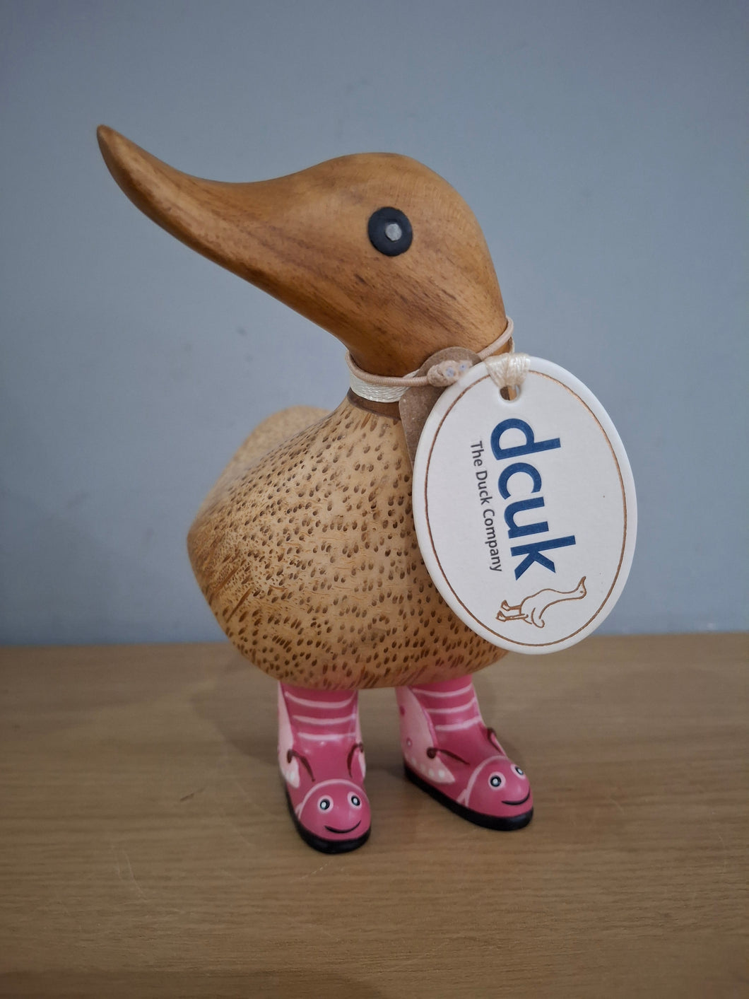 DCUK Duck Wild Welly PINK BUTTERFLY BOOTS Wooden Ducky Named KATHRYN