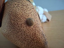 Load image into Gallery viewer, DCUK DUCK GILDED CARAMEL DUCKY NAMED JOAN New Christmas 2025
