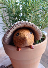 Load image into Gallery viewer, DCUK Toadstool Hedgy Wooden Hedgehog Grey Spotty Toadstool Hat
