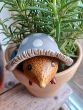 Load image into Gallery viewer, DCUK Toadstool Hedgy Wooden Hedgehog Grey Spotty Toadstool Hat
