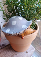 Load image into Gallery viewer, DCUK Toadstool Hedgy Wooden Hedgehog Grey Spotty Toadstool Hat
