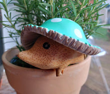 Load image into Gallery viewer, DCUK Toadstool Hedgy Wooden Hedgehog Green Spotty Toadstool Hat 9cm Mothers Day Gift New
