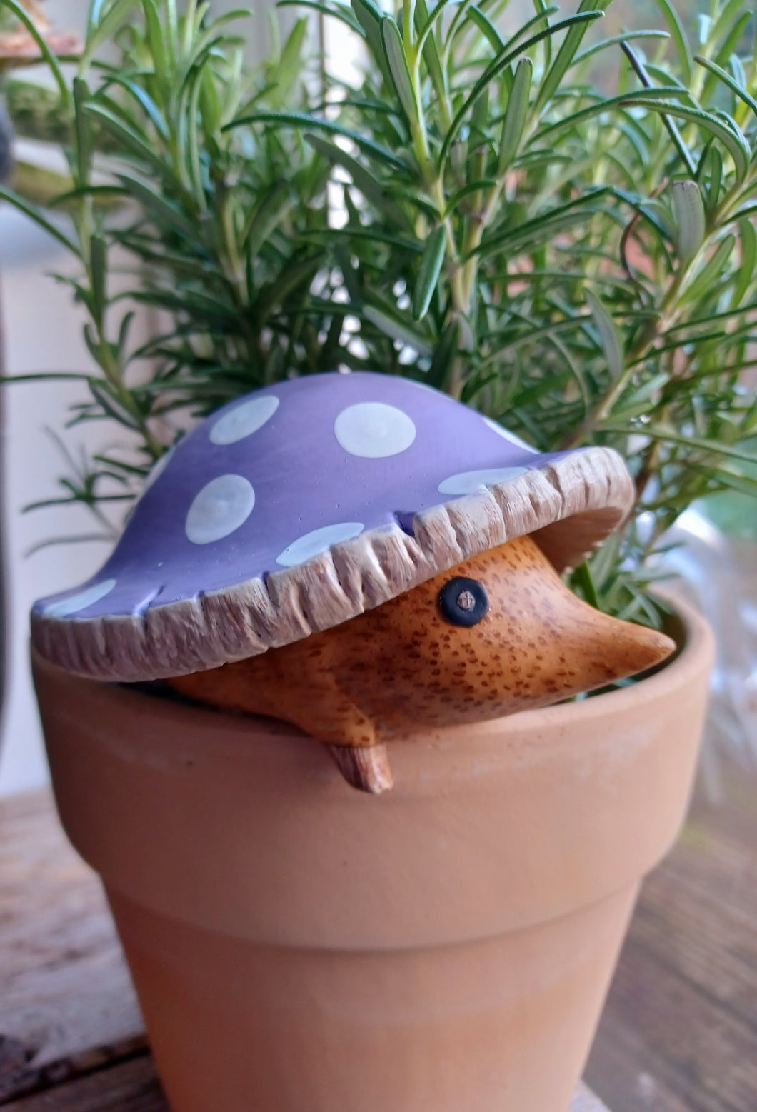 DCUK Toadstool Hedgy Wooden Hedgehog Lilac Spotty Toadstool Hat 9cm Mothers Day Gift New